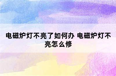 电磁炉灯不亮了如何办 电磁炉灯不亮怎么修